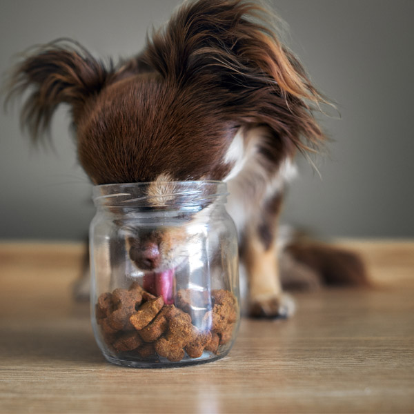 Pečienkové minútky