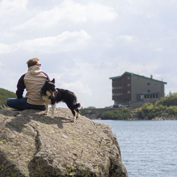 Tatry so štyrmi labkami: pre majiteľov psov, ktorí svojho miláčika nechcú nechať doma