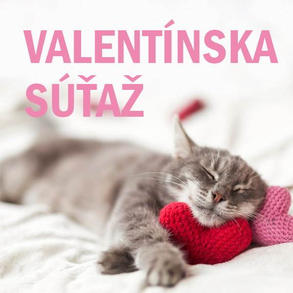 Valentínska súťaž s Dogee