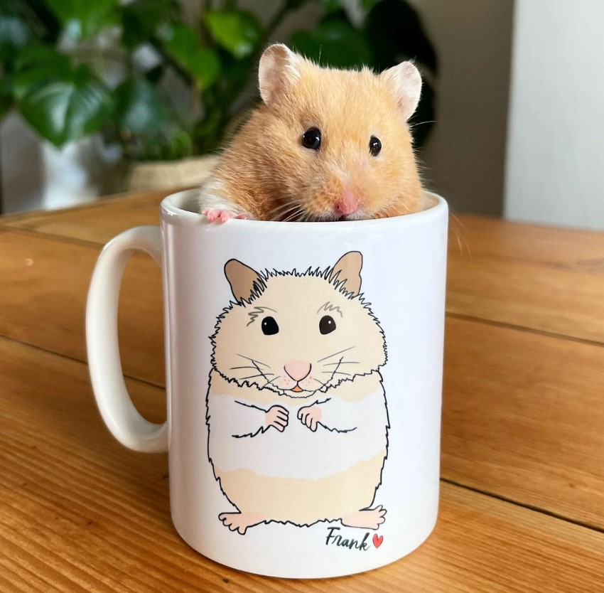 Výbava pre nového člena rodiny 11/2022