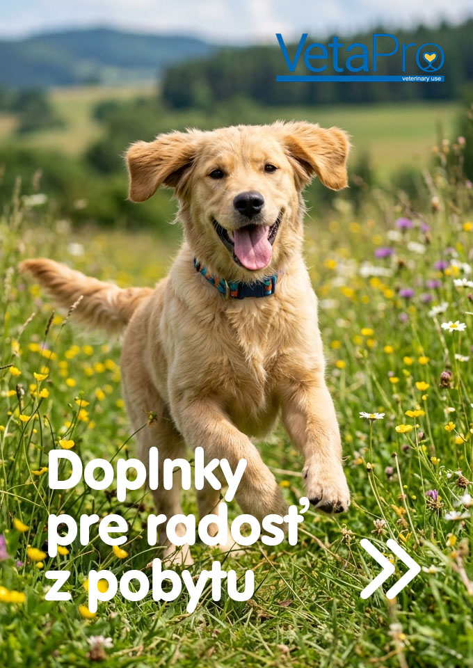 Vetapro pre psíkov a mačky