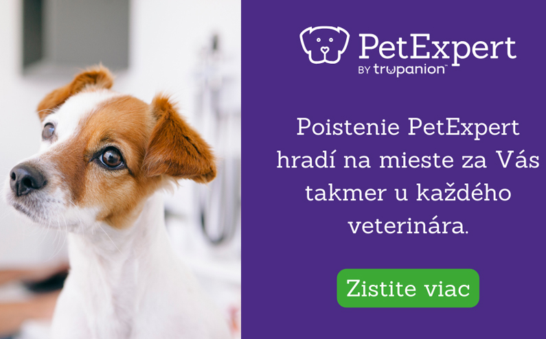 Poistení pre psov a macky