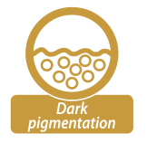 pigmentace