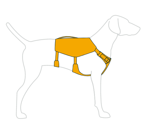 Ruffwear_switchbak_dogee_sk