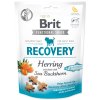 brit pamlsky pre psov recovery and herring 150g