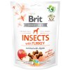 pamlsky pre psov brit insect morka