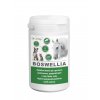 boswellia serrata pre psov kone macky