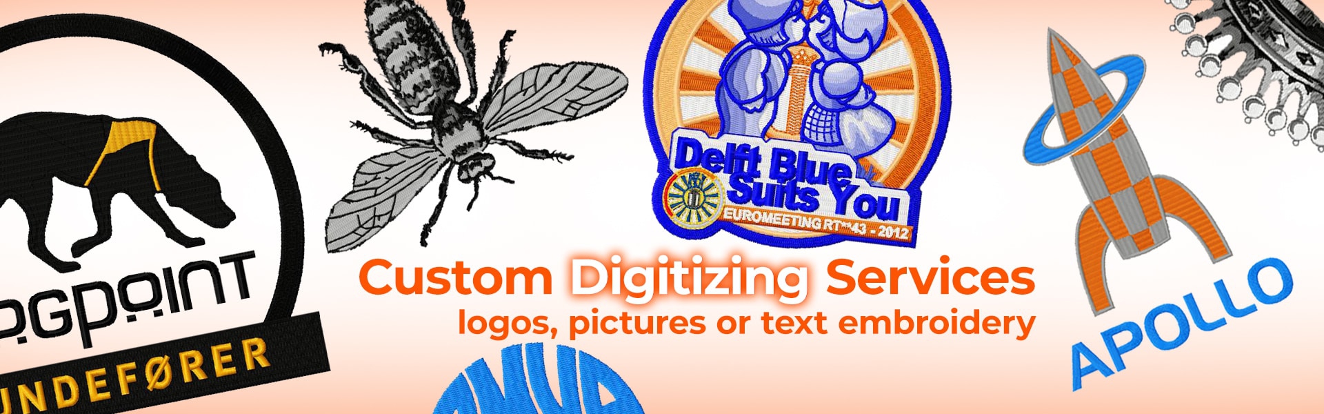 Custom digitizing services