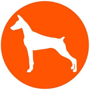 Stock Design