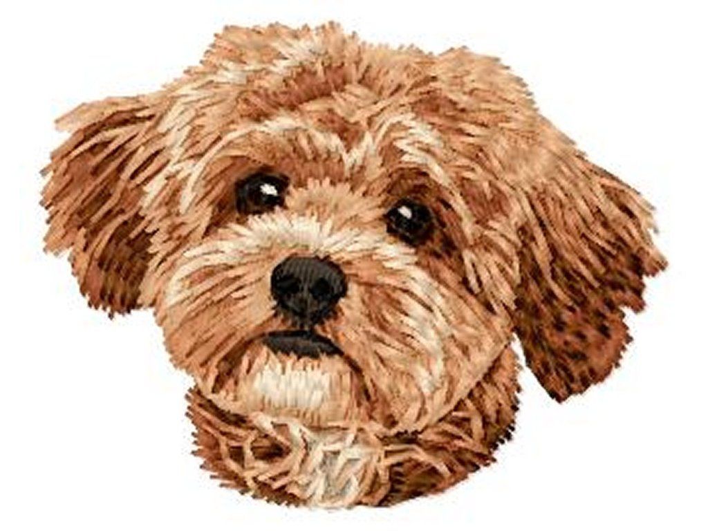 maltipoo embroidery design