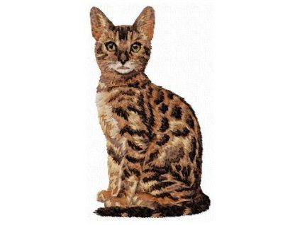 bengal cat embroidery design