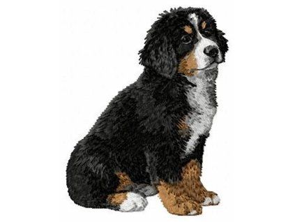 bernese mountain dog embroidery design