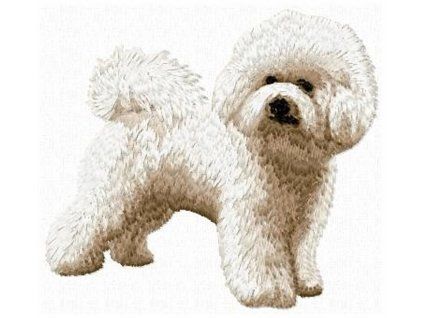 bichon bolognese embroidery design
