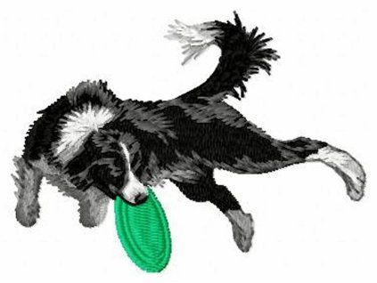 border collie agility embroidery design