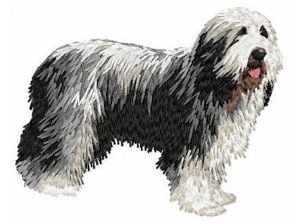 DD24 Bearded Collie body