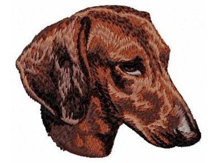 dachshund embroidery design