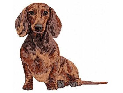 dachshund body embroidery design