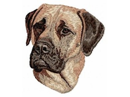 DD39 English Mastiff