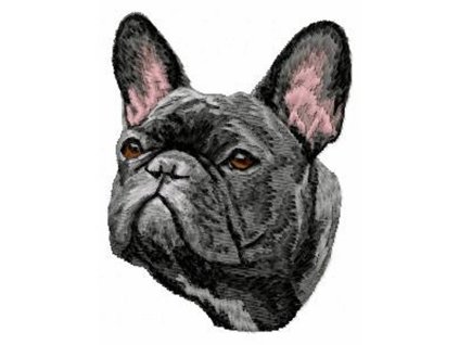 DD40 French Bulldog