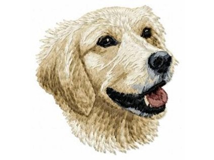 DD48 Golden Retriever