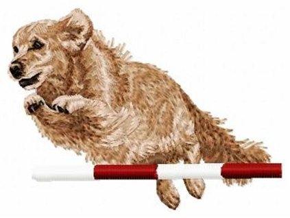 DD51 Golden Retriever body