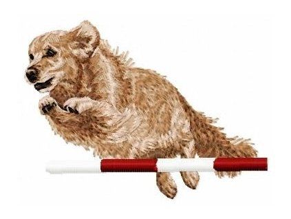 golden retriever agility embroidery design