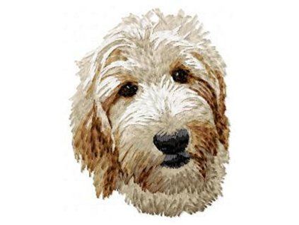 goldendoodle