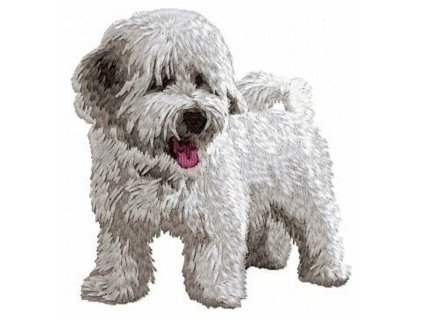 DD54 Bichon Havanese body white