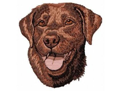 labrador retriever chocolate embroidery file