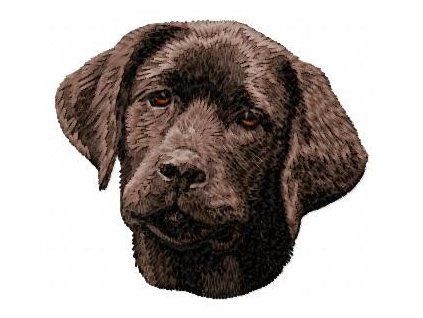 labrador retriever chocolate embroidery design