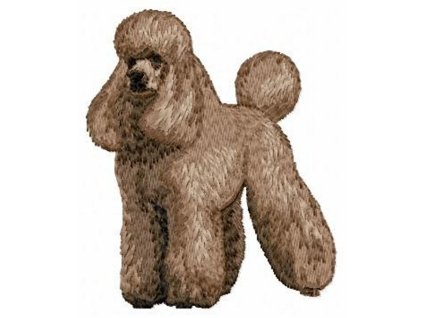 DD79 Poodle body braun