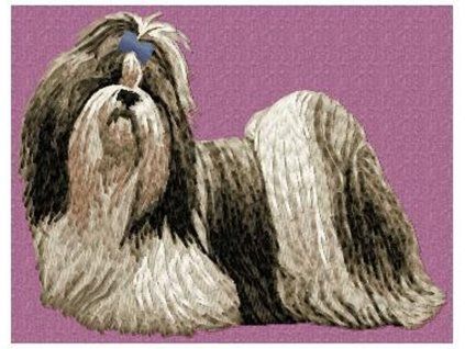 shih tzu