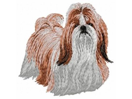 DD89 Shih Tzu body