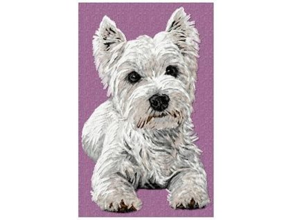 DD95 West HW Terrier body