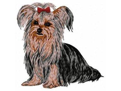 DD101Yorkshire T. body