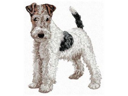 fox terrier