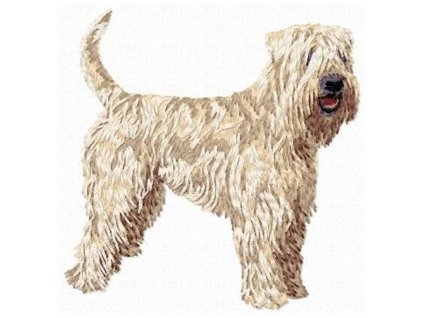 DD104 Irish SCW Terrier body