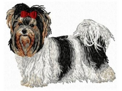 DD109 Biewer YT body