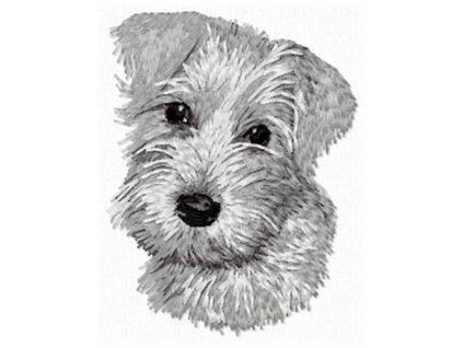 DD111 MinSchnauzer head white
