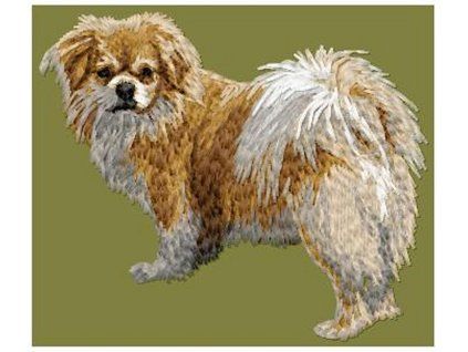 tibetan spaniel