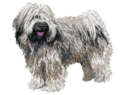 tibetan terrier