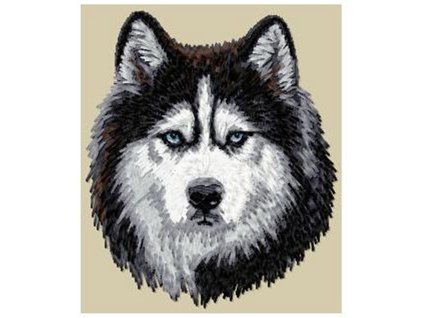 siberian husky