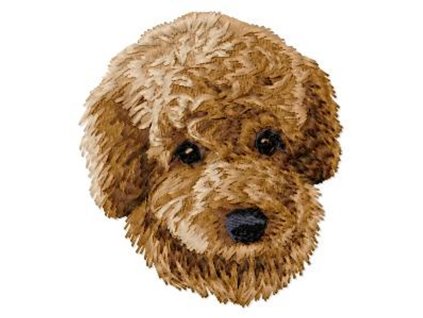 DD123ToyPoodlehead75