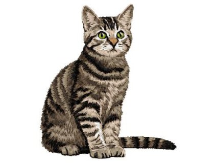 cd16domesticscbody95 2