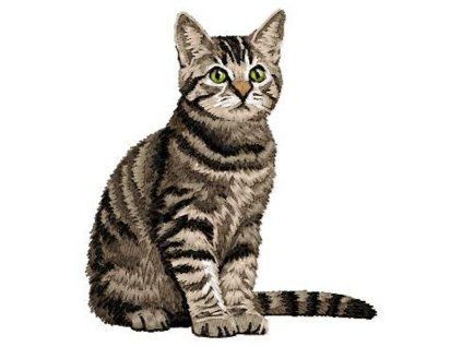 domestic cat embroidery design