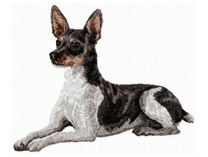 rat terrier