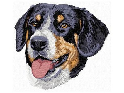 DD136Entlebuchhead75