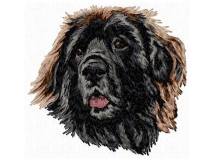 DD138Leonbergerhead75