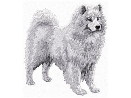 DD147Samoyed95