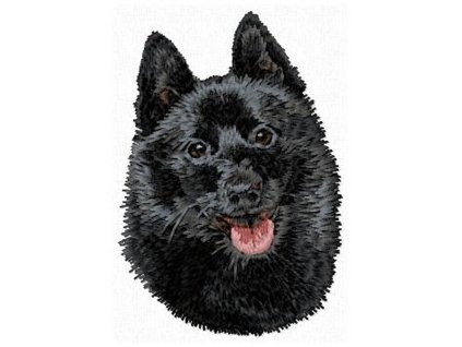 DD162Schipperkehead90